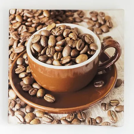 Apartment Appartement Saint-Jean-De-Luz